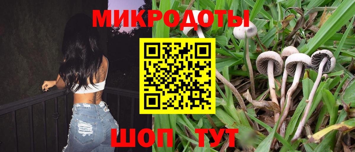 Псилоцибиновые грибы MAGIC MUSHROOMS Елабуга