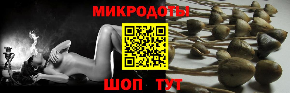 Елабуга  Псилоцибиновые грибы MAGIC MUSHROOMS  Вход с VPN 